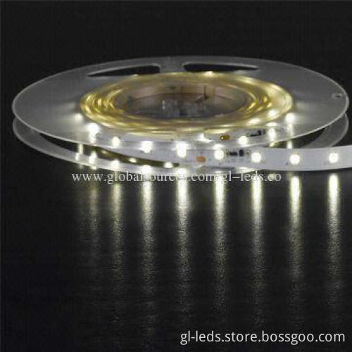 Waterproof Holiday Light, 5 Years Warranty, 24V DC Working Voltage